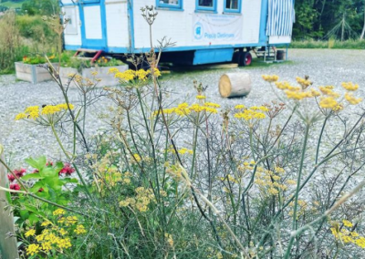 Popup Dietlimoos, Quartierverein Adliswil