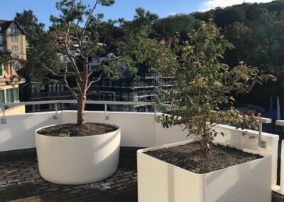 Terrassengestaltung Zürichberg